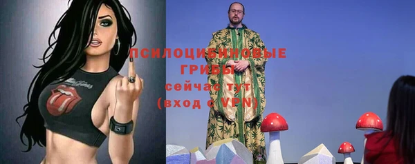 бутират Алексин